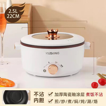 Qianliyuan company sends gifts to customers and employees, customized electric cooking pots, corporate opening event commemorative prizes, practical companion gifts, 22cm single pot (2.5l) + portable color box