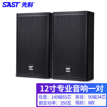Xianke kp12v professional-grade audio stage performance professional karaoke conference speakers home ktv audio 12-inch professional speakers pair