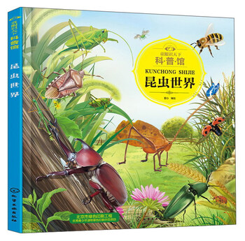 3-6 years old, children’s eyes on the world science museum, summer homework in the world of insects, summer transition from primary school to secondary school, summer transition from primary school to junior high school