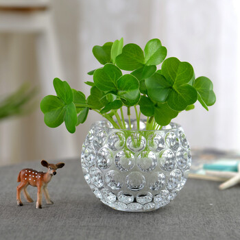 Chenbu glass hydroponic bottle container copper money grass plant pothos vase transparent living room flower ball ornament small pastoral style dot belly diameter 10cm (small) without plants