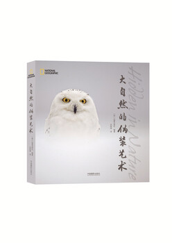 Nature's art of camouflage