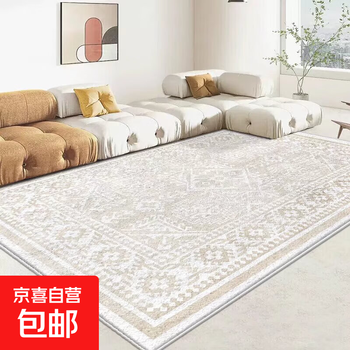 Brangdy minimalist light luxury thickened carpet living room bedroom bedside sofa coffee table floor mat stain-resistant light luxury minimalist-1 200*300cm
