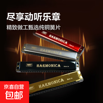 Harmonica, wind instrument, beginner gift, student self-taught professional playing gift for children, 24 holes, beginner harmonica 24 holes, double row, spray paint