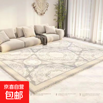 Brangdy minimalist light luxury thick carpet living room bedroom sofa coffee table simple floor mat resistant to dirty and easy to care one-return to dreams 1 140*200cm