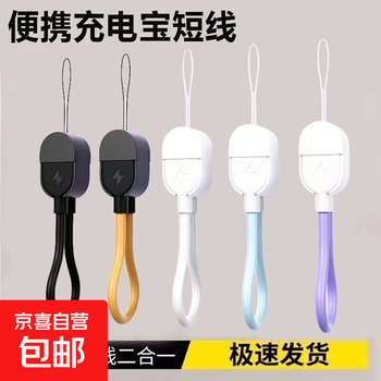 Mobile phone lanyard data cable 20w fast charging typec charging cable two-in-one power bank short line portable suitable for apple huawei universal android mobile phone white typec-typec fast charging data cable 1 pack