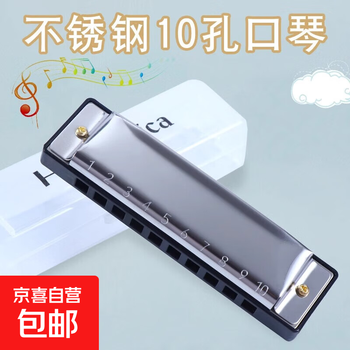 Harmonica, wind instrument, beginner gift, student self-taught professional playing gift for children, 10 holes, beginner harmonica 10 holes
