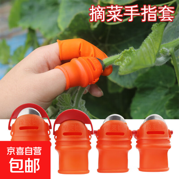 Pepper picking artifact, special scissors for cutting pepper, pepper picking artifact, pepper picking scissors, picker, large thumb knife, 1 piece + 5 finger cots, men's model, no specifications