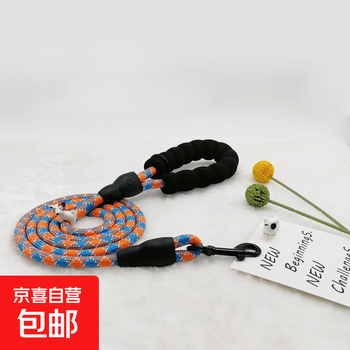 Factory direct sales dog leash fashionable dog leash anti-stranglehold for small dogs and large dogs orange 10mm*1.5m secondary color polyester