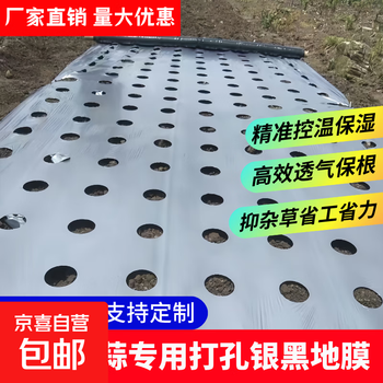 Perforated black mulch film for agriculture with holes and perforated silver black mulch film to prevent weeds, vegetable planting, pepper, garlic and corn special film silver black thin section 1.5 meters wide 10 holes 14*15