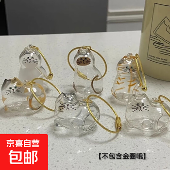 Transparent cat hair artifact pendant, household plastic daily miscellaneous items, a full set of six styles, one