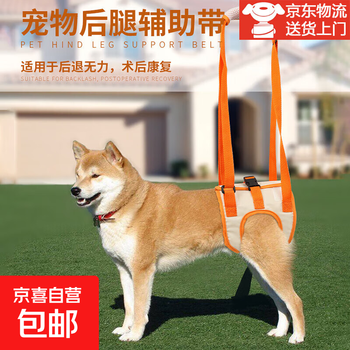 Pet hind leg assistance belt for elderly dogs, disabled dog rehabilitation and post-operative exercise belt, upstairs assistance belt, orange xl waist size 48-60 leg size 31cm