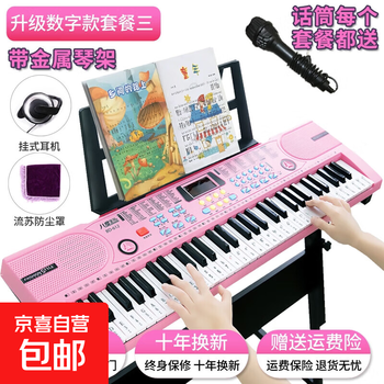 Norbach multifunctional toy electronic keyboard for children beginners 61 keys with microphone baby piano for girls aged 1-3-6-12 years old pink + lighted digital keys + gift bag