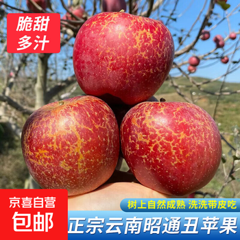 Yunnan zhaotong rock candy heart ugly apple fruit fresh seasonal whole box fuji red dew apple crispy sweet mid-autumn festival selected fruit single fruit 50-60mm 2 catties trial pack