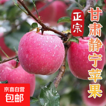 A great gift, gansu jingning first-crop fuji apples from the origin, directly shipped in color box. color box of gansu fuji apples (12 pieces), net weight 4.5 jins.