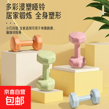 New environmentally friendly dumbbells for women, home fitness equipment, children's yoga, rubberized kettlebells, arm training, men's dumbbells, purple 2kg 2kg*2 pieces, total weight 4kg