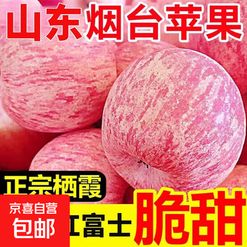 Shandong yantai red fuji apple seasonal fresh fruit authentic rock sugar xinqixiaping fruit whole box free shipping gift box 3 pounds 8 pieces 75-80mm