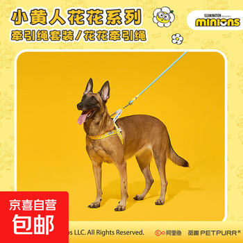 Minion huahua series traction rope set dog traction rope chest and back large and small dogs outdoor vest-style lead rope chest and back traction rope set