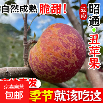 Authentic yunnan zhaotong rock candy heart-chou apple fresh fruit zhaotong apple seasonal crisp sweet fruit origin straight hair 9 jin 70-80mm medium fruit | crisp, sweet and juicy