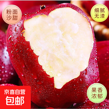 Authentic gansu tianshui huaniu apple whole box seasonal red snake fruit powder noodles for pregnant women scraped mud fruit fresh w2 with box 2 jin fruit diameter 65-70mm