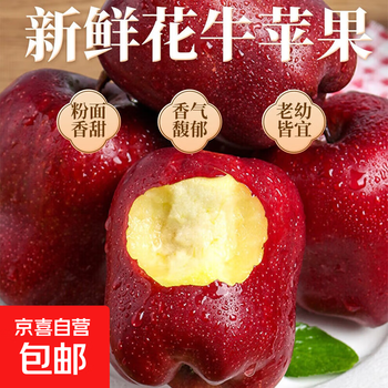 2025 gansu tianshui huaniu apple fresh red snake fruit powder noodles fresh, crisp, sweet and juicy a14, 5kg in box, fruit diameter 65-70mm
