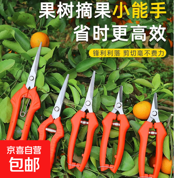 Garden orchard citrus orange shears shrub pruning hedge pruning tools home gardening practical shears stainless steel pruning scissors - small - 1 piece