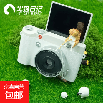 Black cat diary dk15 flip and rotate digital camera ccd gift polaroid mirrorless photography photo video photo handheld vlog selfie children and students toy new year gift white retro atmosphere + can take selfie + full set of accessories 64g large memory for free storage + suitable for type-c transmission