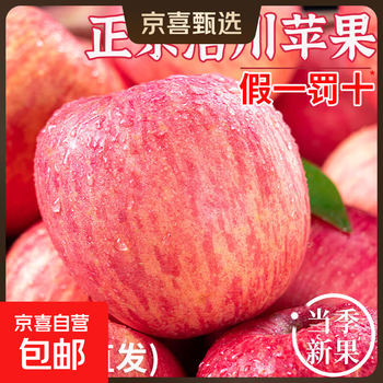 Authentic shaanxi luochuan apple red fuji fresh seasonal rock sugar crisp sweet apple fruit 8 catties in box (single fruit 80-85mm)