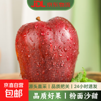 Free shipping for the whole box gansu tianshui huaniu apple fresh red snake fruit christmas fruit seasonal fruit trial pack 3 pieces single fruit 65mm+