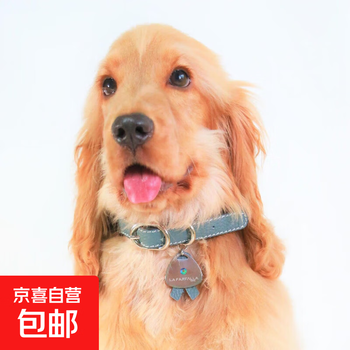 Light luxury morandi simple pin buckle style first layer cowhide pet collar for cats and dogs, crow green indigo - full grain pebbled cowhide l-large size 43-50cm simple pin buckle collar first layer cowhide