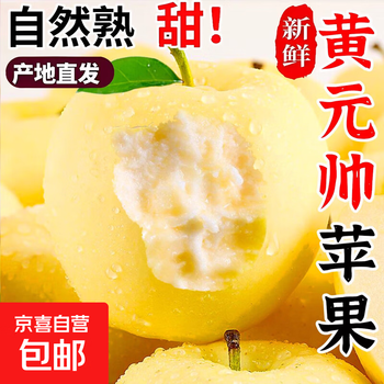 Authentic huang yuan shuai apple fresh fruit seasonal baby noodles golden shuai yellow banana 9 jin whole box 9 jin pack 85mm-90mm