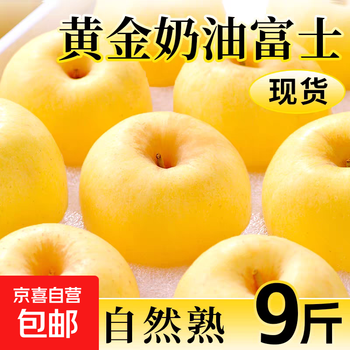 Fresh local golden cream fuji apples, seasonal fresh fruits, 9 jins, whole box, free shipping, seasonal fresh fruits, cream fuji apples, 1 jin, 2-4 fruits in box