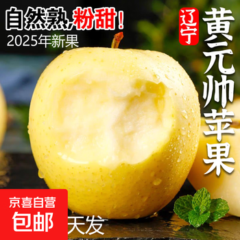 Authentic huang yuanshuai apple 9 pounds fresh fruit should season noodles jin shuai dalian yellow crisp apple juice whole box 4.5-5 pounds 85mm-90mm