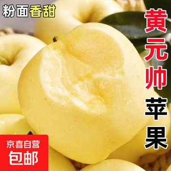 Huang yuanshuai apples are freshly picked in season. the noodles are dense and easy to scrape. the flesh is delicate and has a milky apple taste. 9 pounds, 60-70mm.