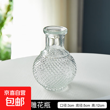 Retro small vase embossed glass high-value forest vase transparent hydroponic flower arrangement living room decoration vase 1 pack earth embossed transparent vase + bubble packaging