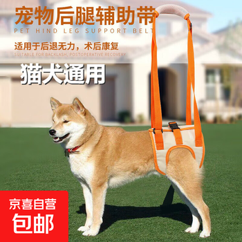 Pet dog hind leg auxiliary belt for elderly dogs with hind limb disability and paralysis, walking aid, walking artifact, portable traction rope, xl size, waist circumference 48-60cm, leg circumference 31cm
