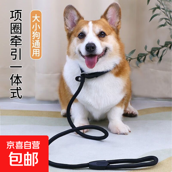 Dog traction rope, tensile resistant p rope, pet teddy corgi cow leash, dog walking tether, wear-resistant, small and medium-sized dogs, traction rope, tensile resistant p rope, s size