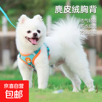 Cat and dog leash dog leash harness dog walking pet anti-breakaway vest small and medium-sized dogs lake blue leash lake blue s code