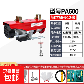 Mini electric hoist 220v household crane hoist small 1 ton 0.5 ton decoration winch lifting crane pa600-12 meters (free 5-piece set + tool box) no specifications