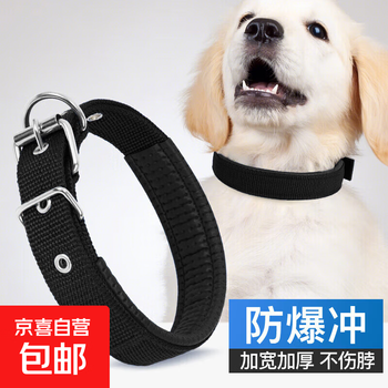 Dog collar leash, pet walking leash, large, medium and small dog chain, foam neck sleeve, foam neck sleeve xl size