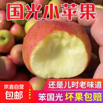 Fresh small guoguang apples, authentic old tree guoguang apples, sweet and sour seasonal fruits for pregnant women 5/10 jins, free shipping, 5 jins small fruits with box