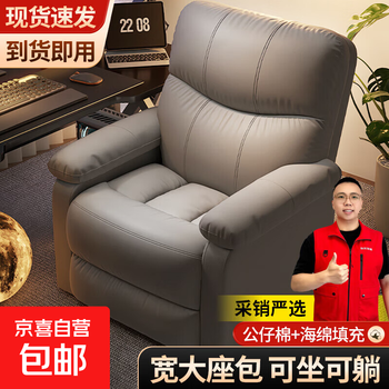 E-sports sofa chair, internet cafe, computer chair cabin, space lazy sofa, single e-sports chair, study room leisure chair, technology fabric, dark gray fixed style