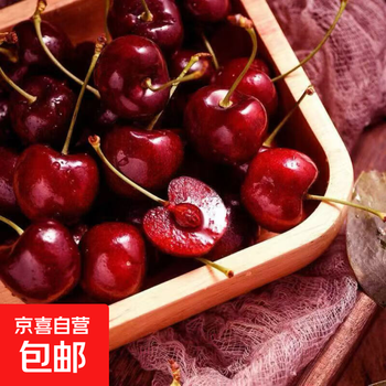 Fresh on-site cherries, fresh, juicy and fruity, in-season large cherries 1kg (net weight), small fruit xl, single fruit 24-26mm