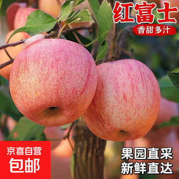 Authentic shandong red fuji apple ugly apple fresh fruit seasonal crisp sweet rock candy heart striped apple 2kg in box