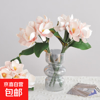 Ecological life retro glass vase decoration living room and restaurant flower arrangement hydroponic creative ornament holiday gift 1 piece transparent glass retro vase