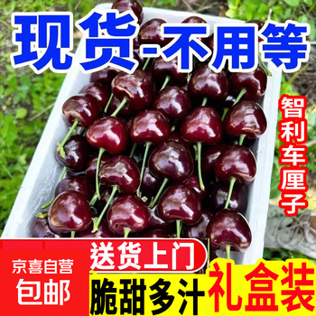 Chilean cherry crispy sweet imported fruit gift box for pregnant women 2kg (net weight) xl sample 24-26mm