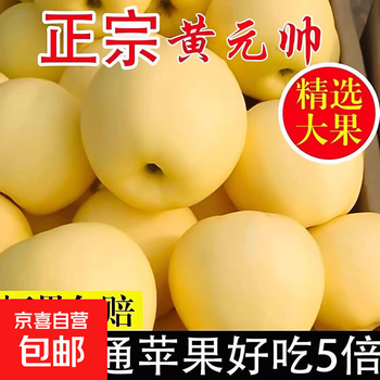 Huang yuanshuai apple fruit 5 jin jin shuai extra large fresh noodle sand old man yellow banana free shipping orchard straight hair 9 jin pack 65-80mm