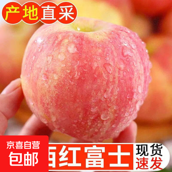 Freshly picked and freshly grown, authentic shanxi red fuji apples grown on the plateau, crispy and sweet with rock candy hearts, seasonal fruits freshly picked and freshly grown, crispy, sweet and delicious, packed in 5kg box, single fruit 70mm+