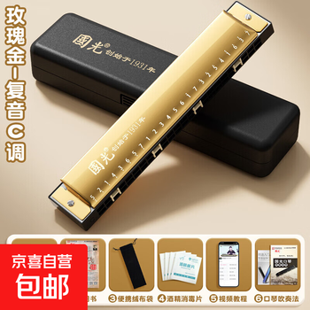 Harmonica 24-hole polyphonic c key for elementary school students, beginners, adults and children, accented authentic musical instruments, new year's gift, rose gold, polyphonic c key + self-study gift pack + video tutorial