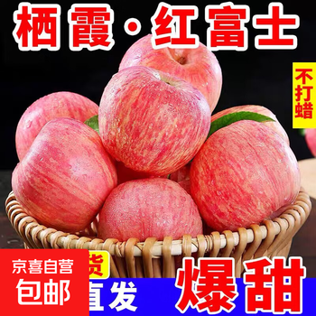 Yantai red fuji apple crisp, sweet and juicy fresh fruit qixia apple authentic yantai red fuji 8.5 catties - single fruit over 80mm