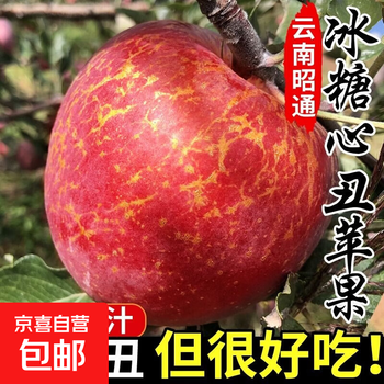 Yunnan plateau red dew apple seasonal fruit rock candy heart-ugly apple light eater pure sweet skin thin skin juicy free shipping to home contains 3kg box medium fruit